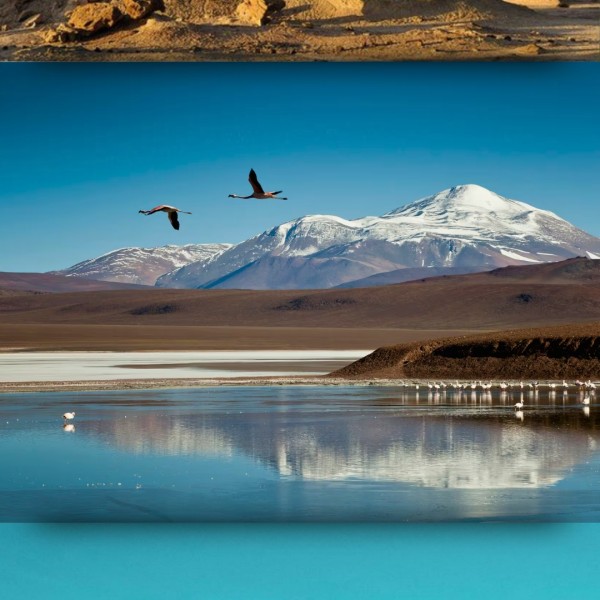 La Rioja con Laguna Brava!