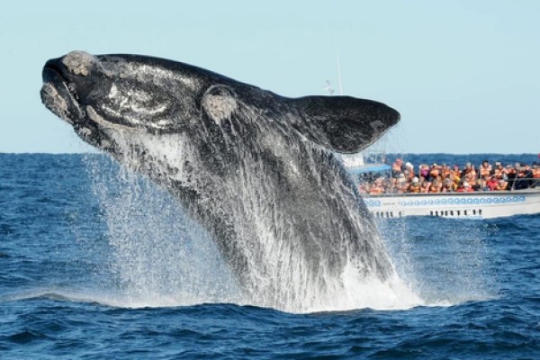 Puerto Madryn