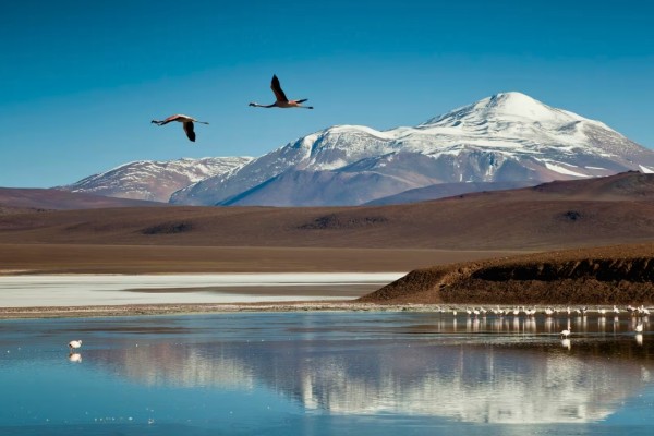 La Rioja con Laguna Brava!